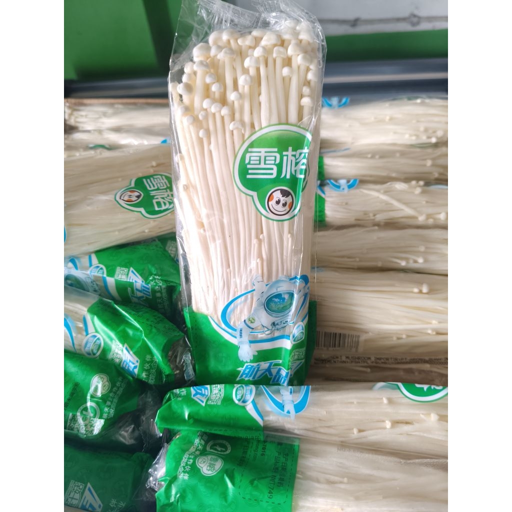 

Enoki Mushroom (Jamur Enoki) – Import