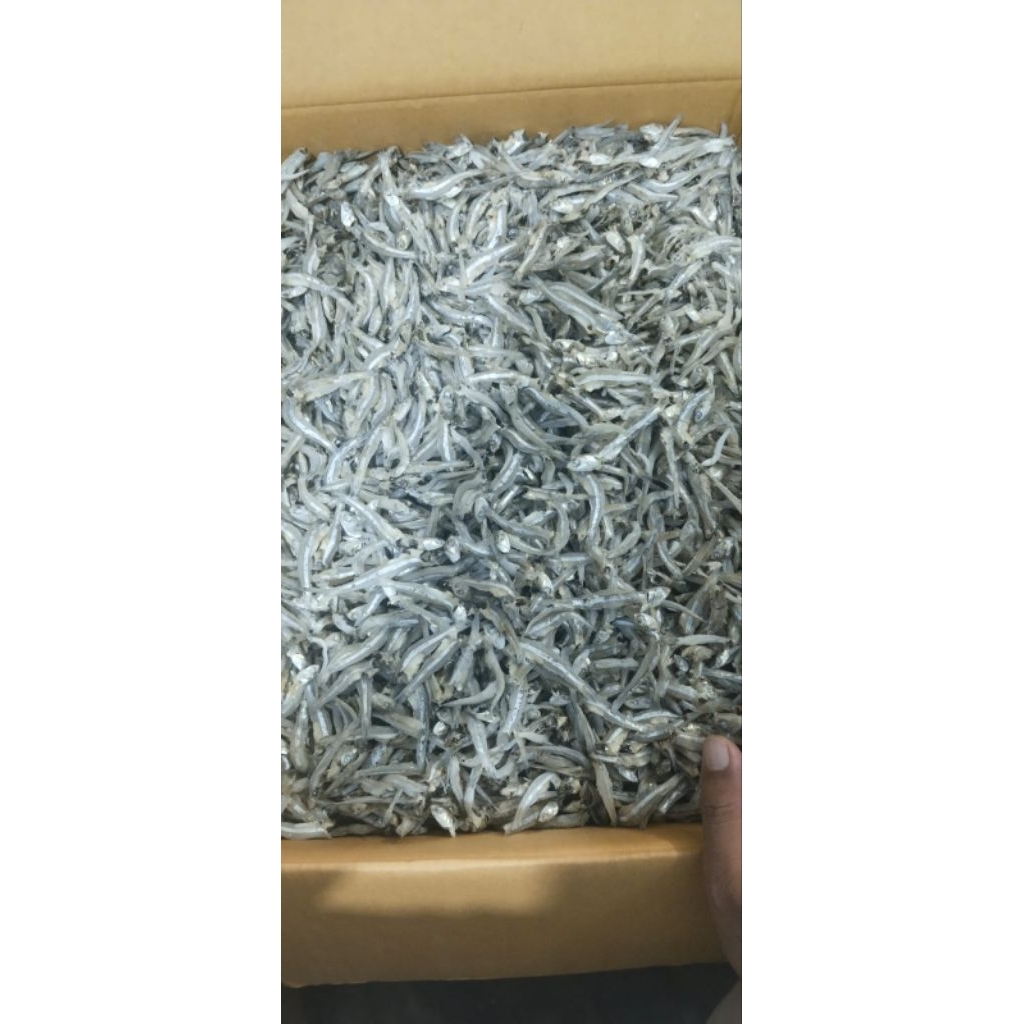 

Ikan Teri Rebus Jengki Lampung