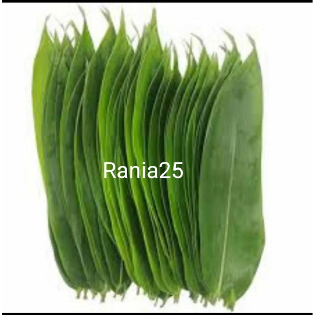 

daun bambu jumbo Pembungkus Bacang 50lembar,100lembar