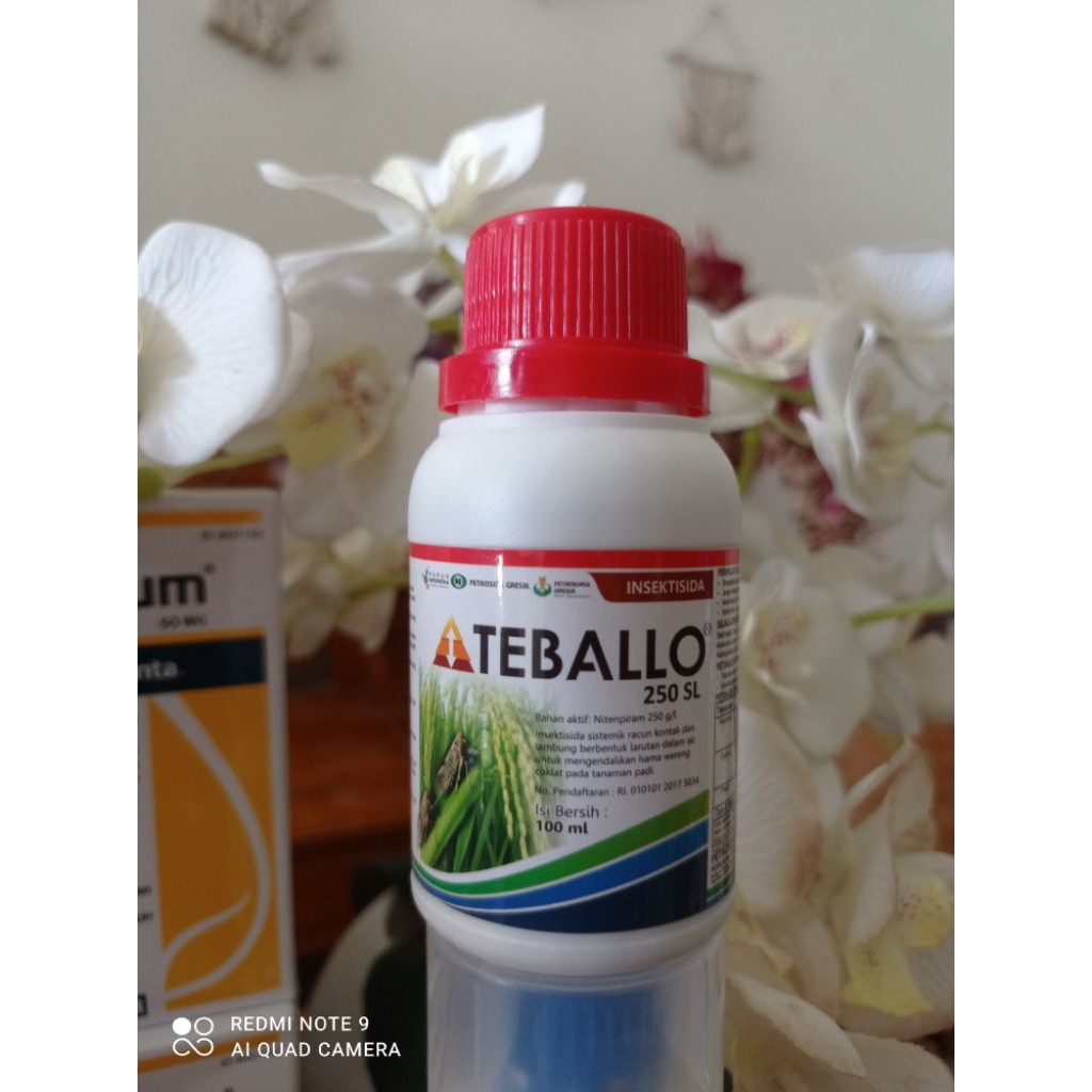 TEBALLO 250 AL 100 ml