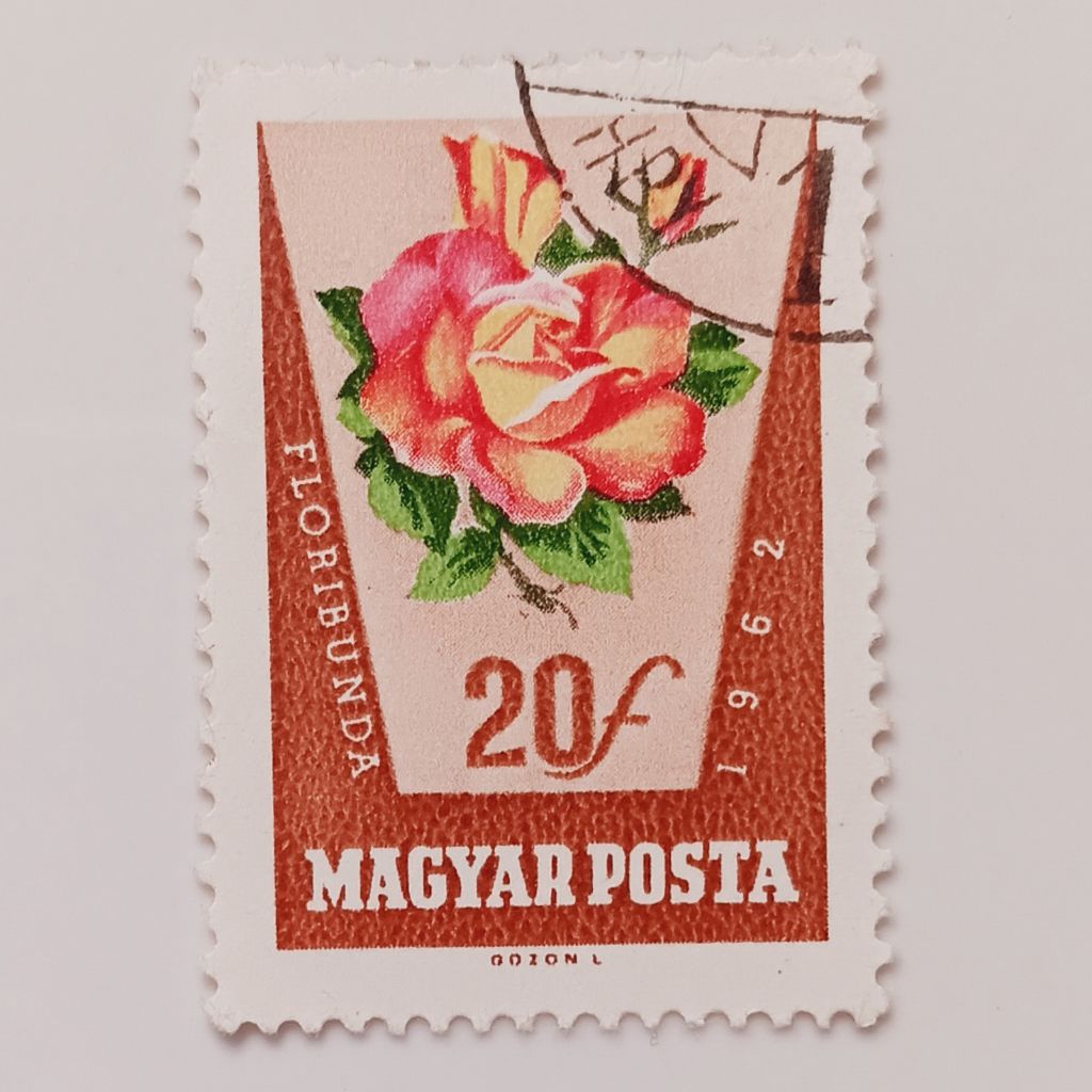 

(AD) Perangko Hongaria 1962 Roses - Rosa hybr. 20 fillér CTO