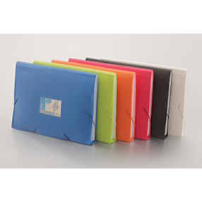 

Expanding file Bantex 3601 folio size ( 12 pockets )