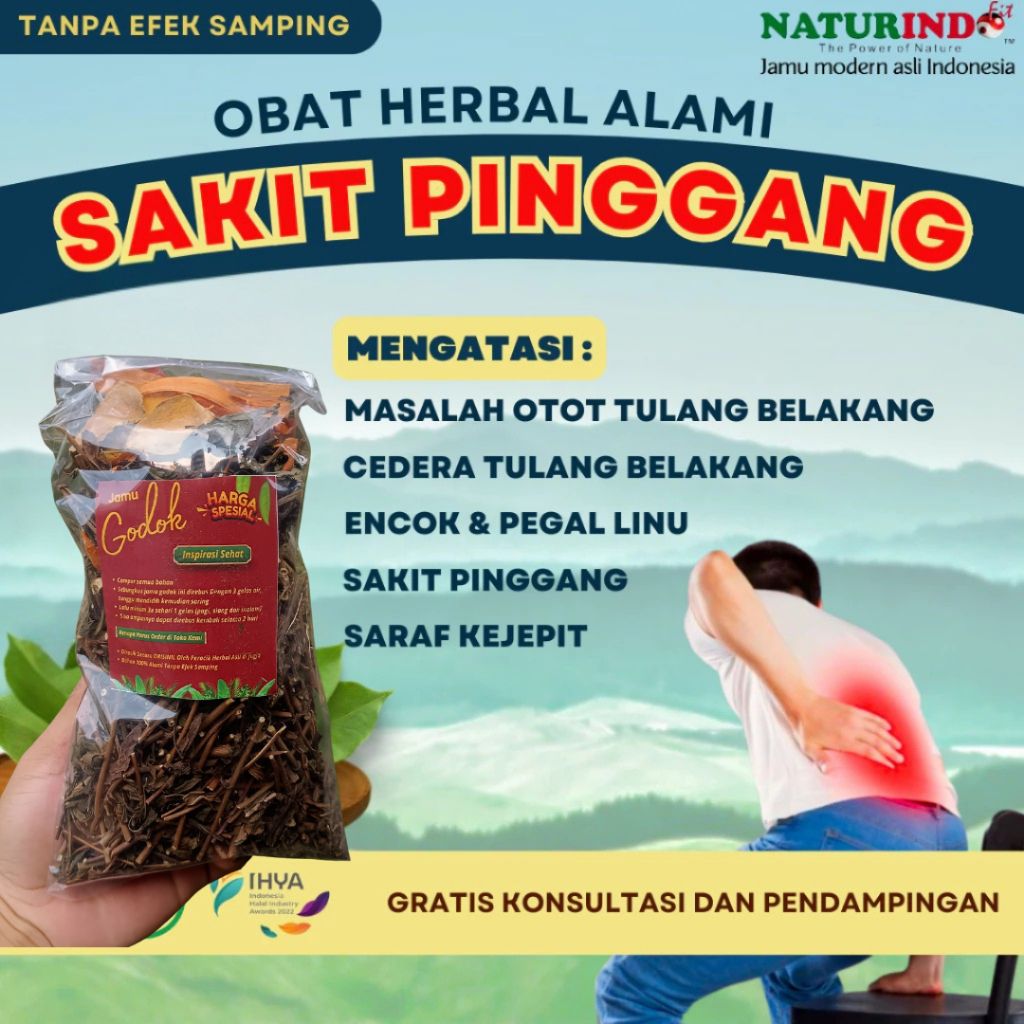 Obat Sakit Pinggang Belakang Paling Ampuh Obat Sakit Pinggang Dan Nyeri Sendi Sarap Kejepit Sakit Pi