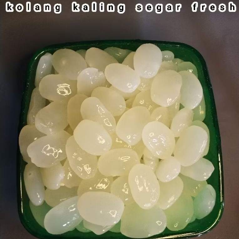 

Kolang Kaling Mentah Fresh segar kolang kaling bahan manisan 1kg