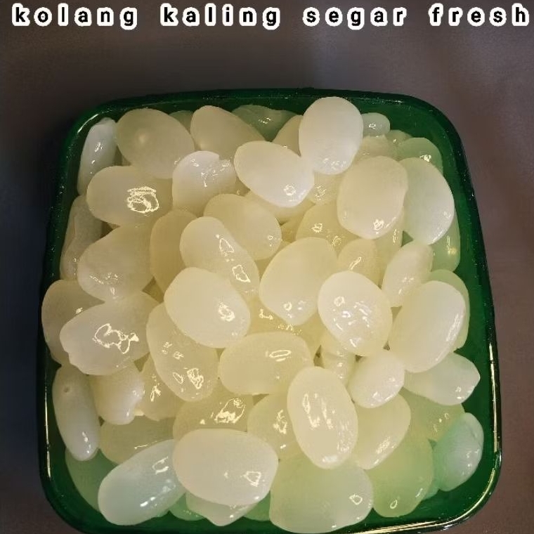 

Kolang Kaling Super Kenyal Fresh Berat (2 Kg)