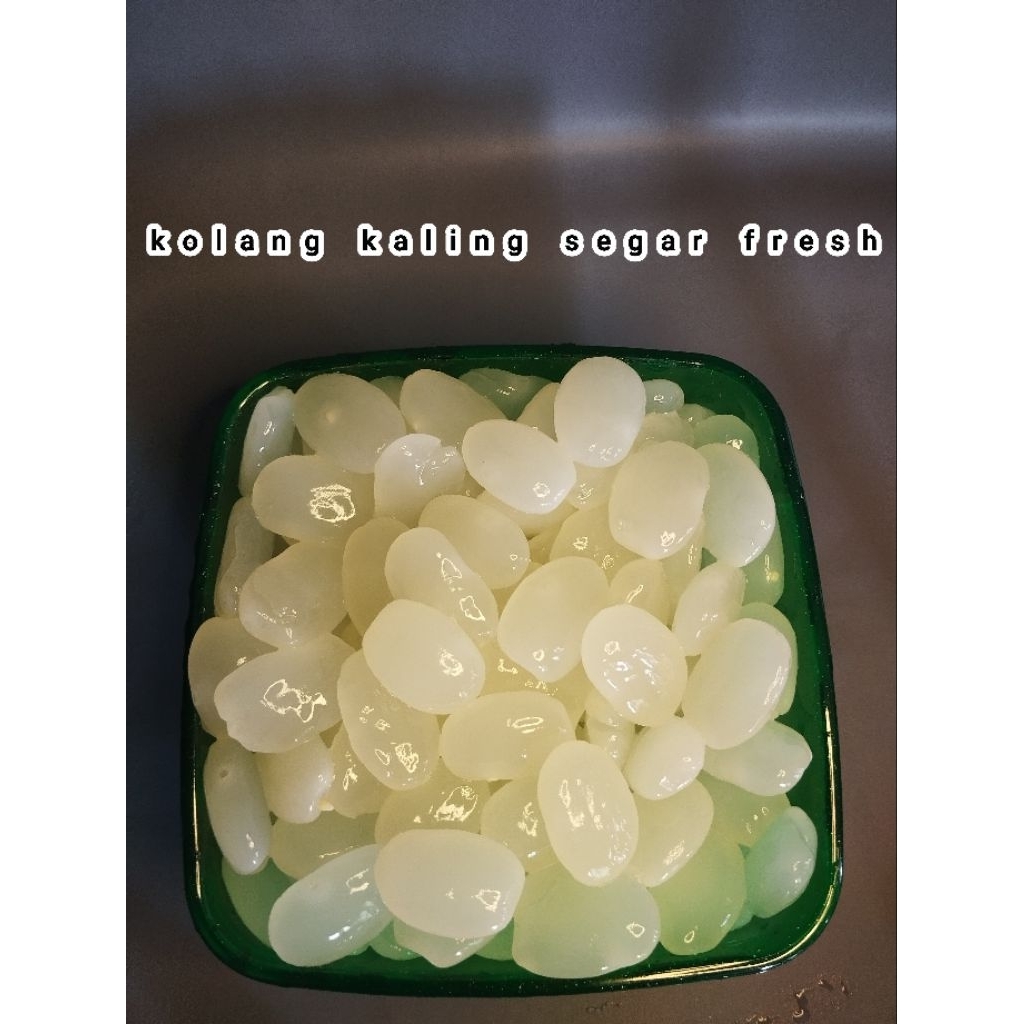 

Kolang kaling segar fresh berat 1kg bahan manisan mentah