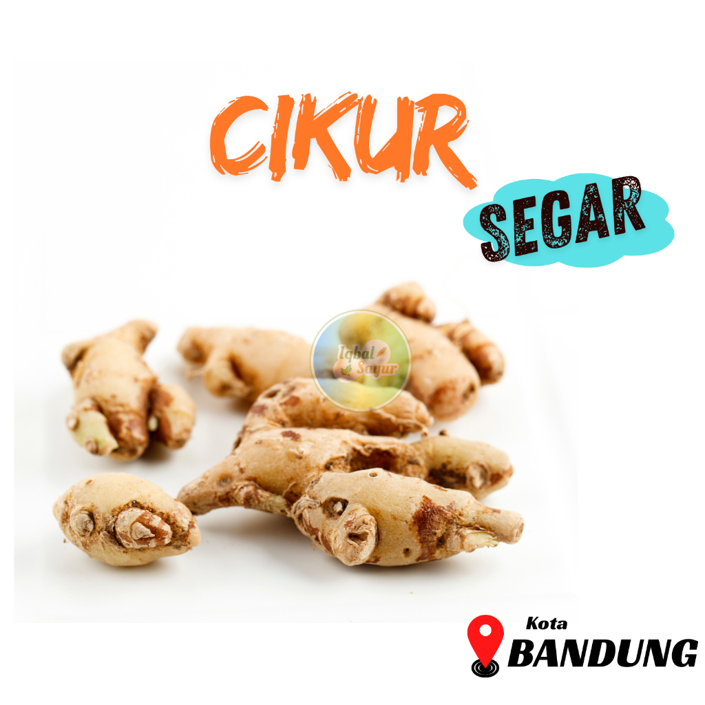 

Kencur / Cikur Segar Bandung