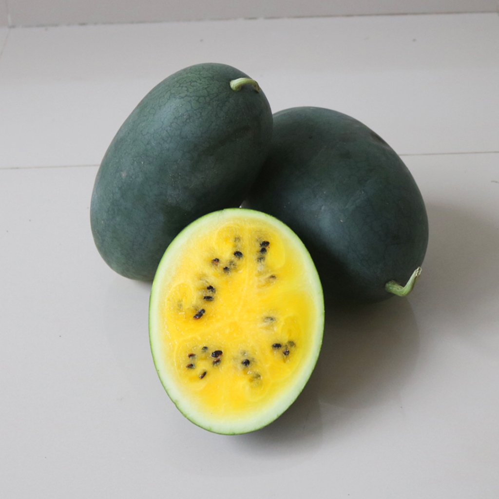 

BULK 1kg – semangka F1 (WM 2003)