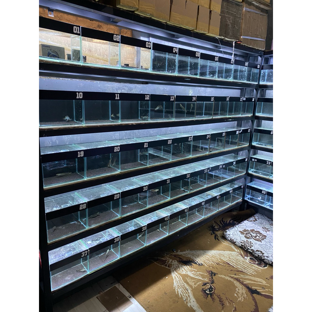 

stiker tica RSP 8-10cm