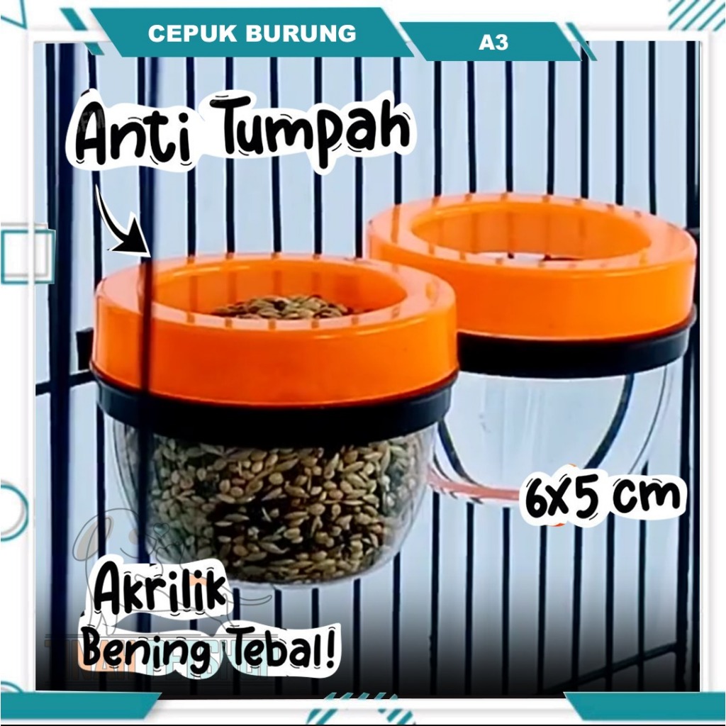 CEPUK BURUNG A3 1 PCS TEMPAT PAKAN MAKAN MAKANAN MINUM BURUNG MURAI PLECI LENGKAP TUTUP ANTI - CANGK