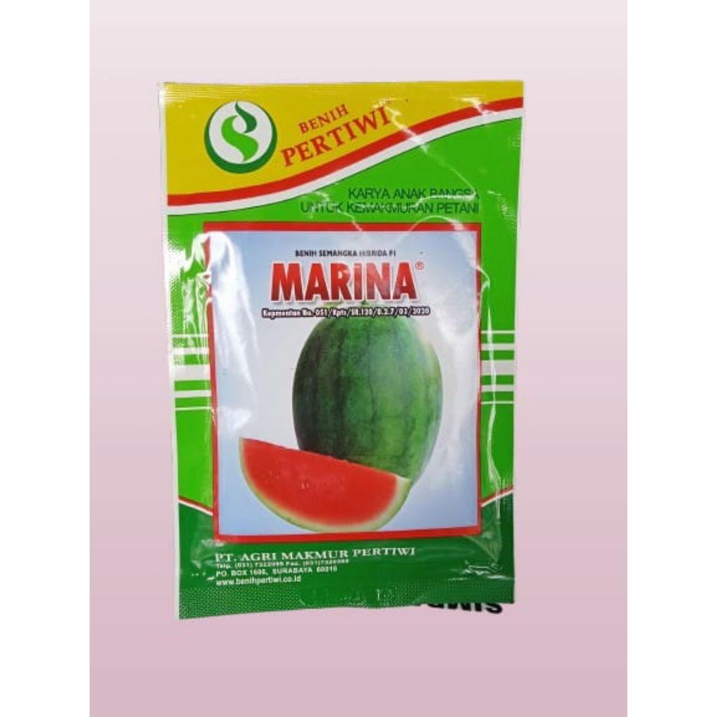 

bibit semangka marina f1