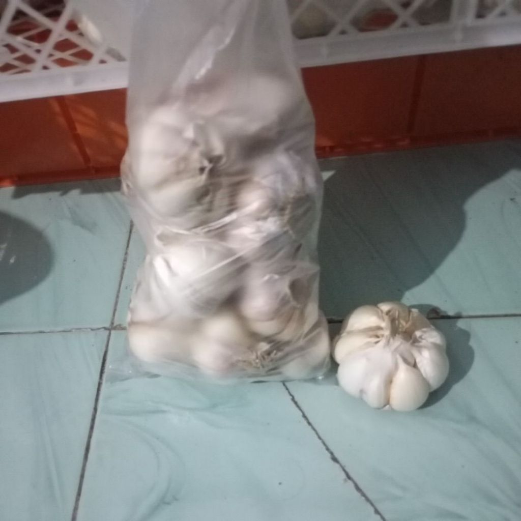 

bawang putih