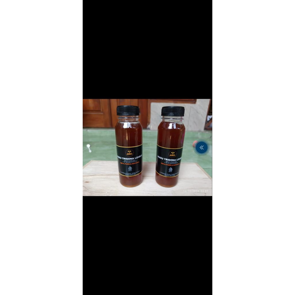 

Madu Trigona Lombok