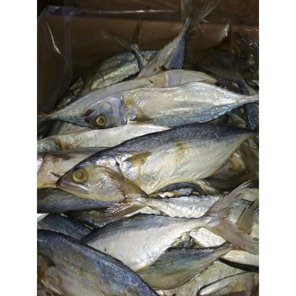 

Ikan Asin Peda Putih