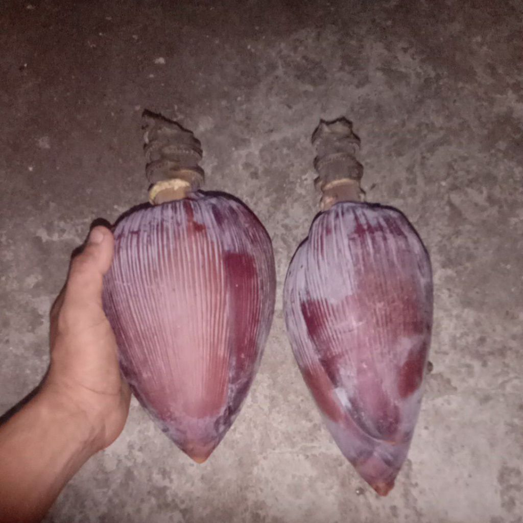 

sayur jantung pisang kepok 1 buah