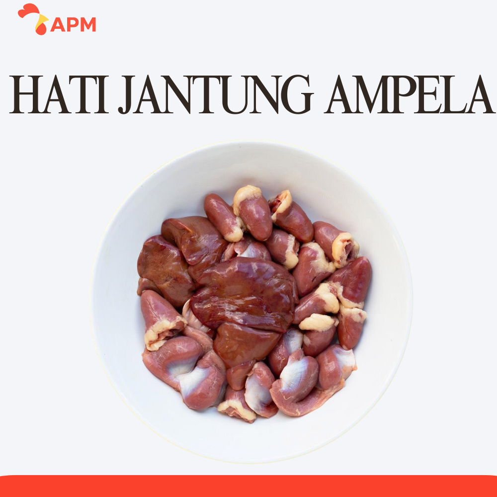 

Hati Ampela Jantung Bersih