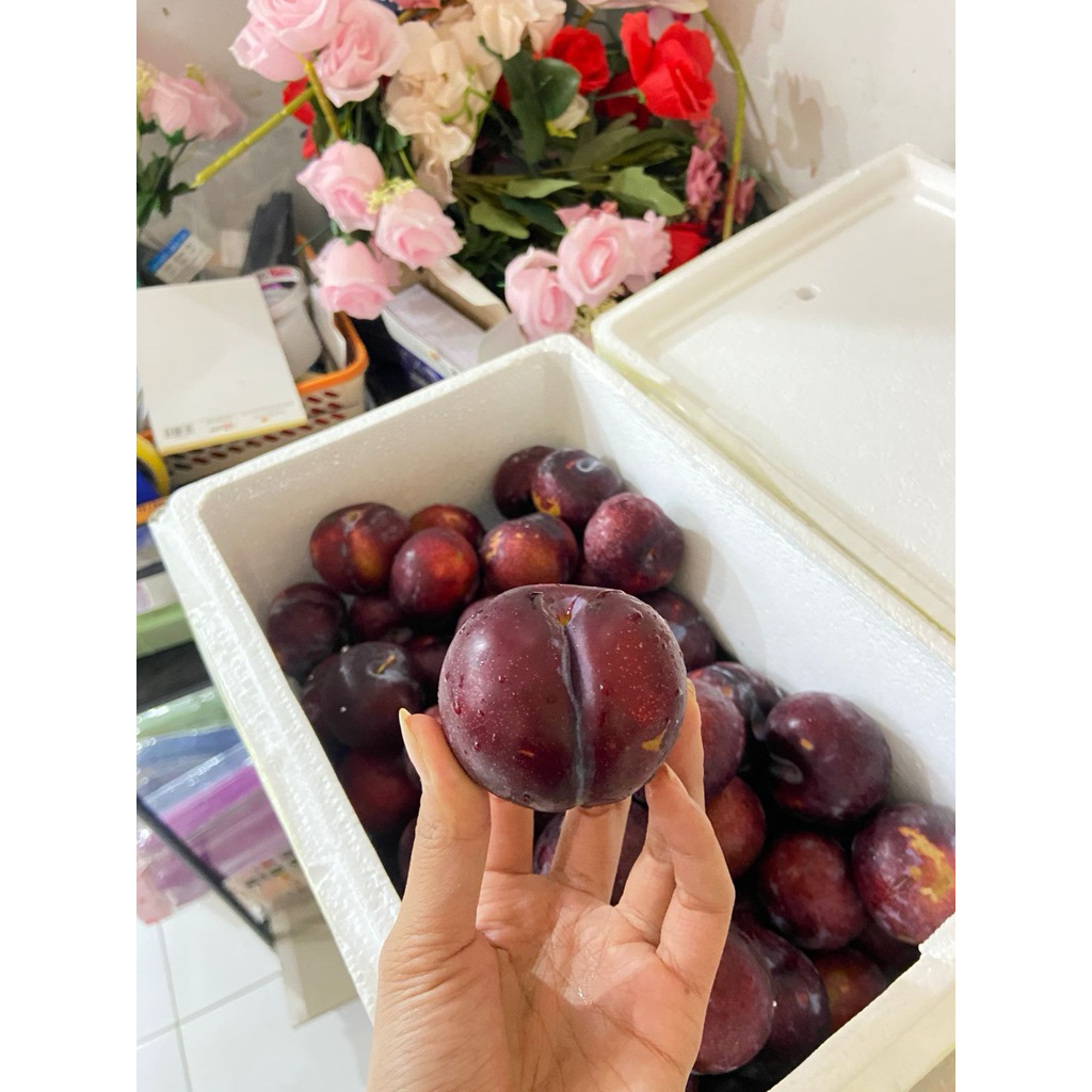 

(400-500hr) buah diet plum hitam plum merah asli import aussie
