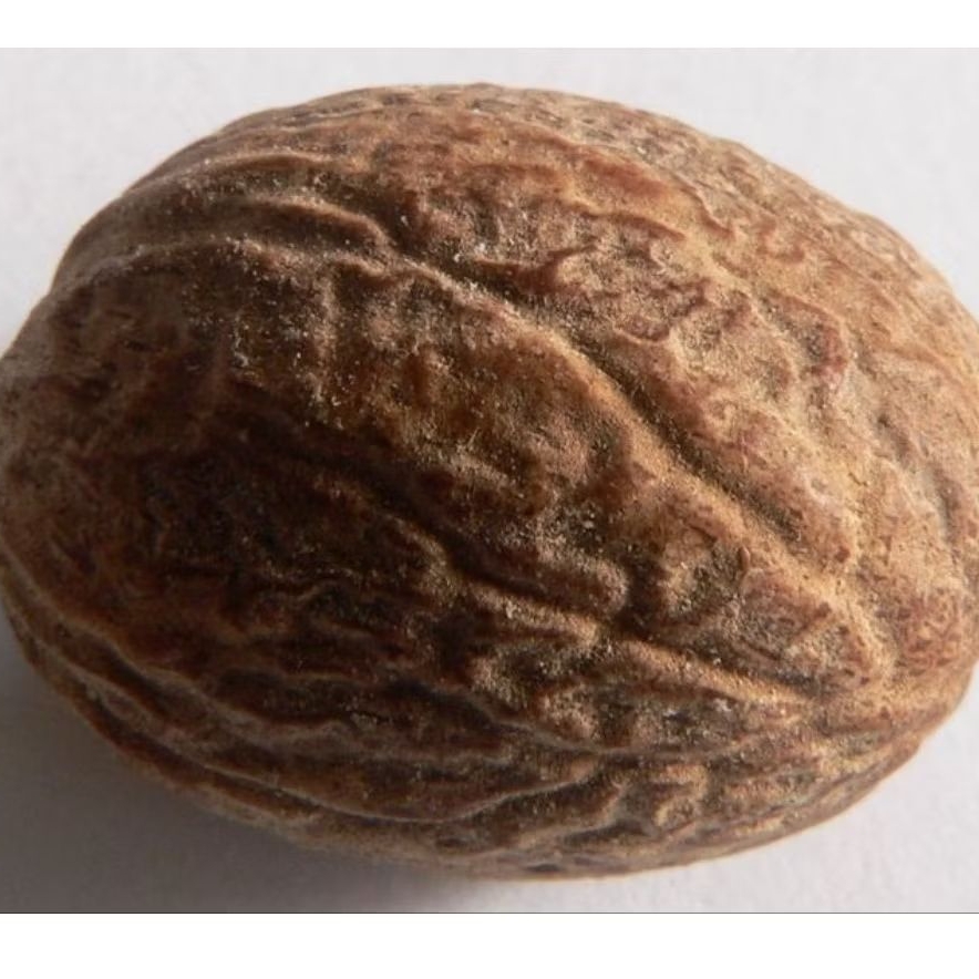 

1rempah pala - surabaya