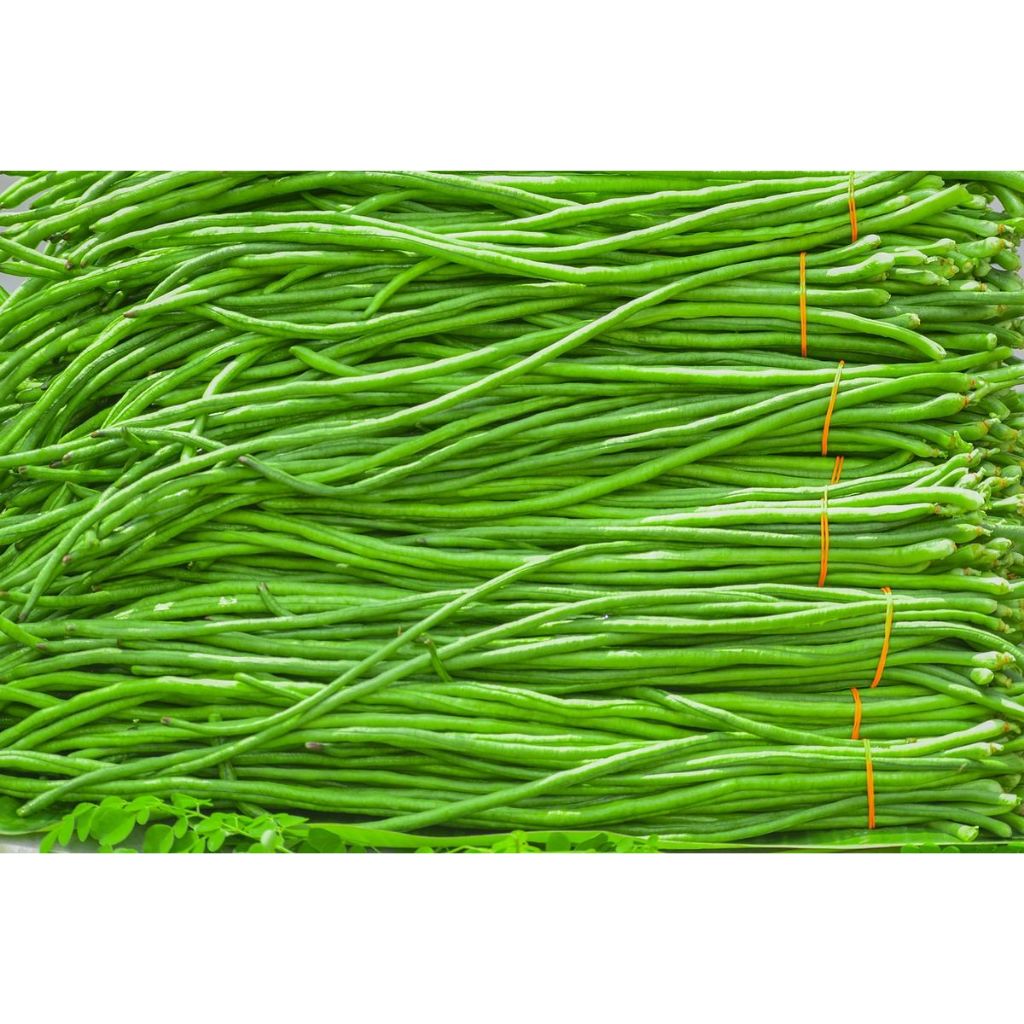 

Paket Sayur Kacang Panjang Fresh