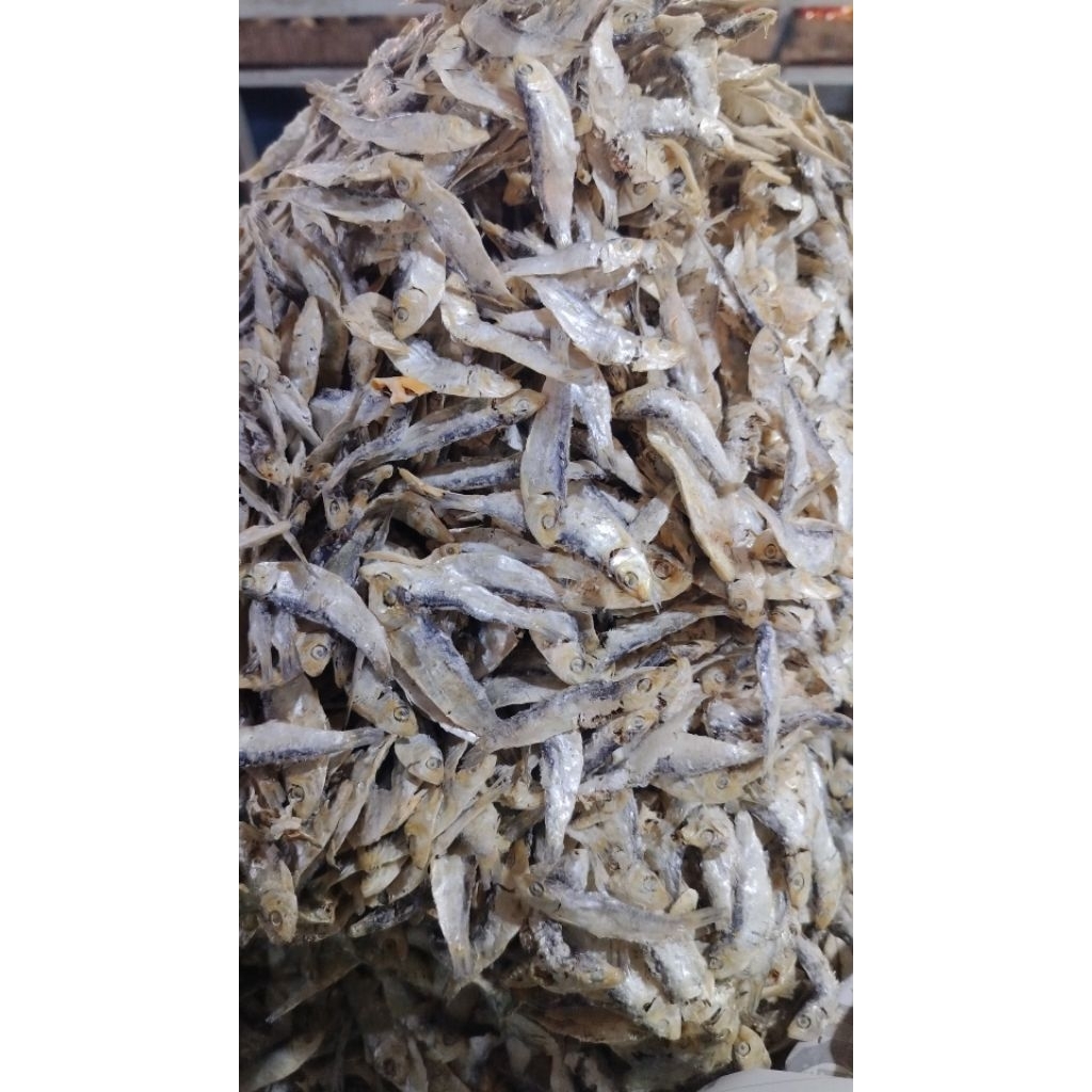 

IKAN ASIN LEMET-NINIS CAMPAH REBUS Kualitas Premium ♛