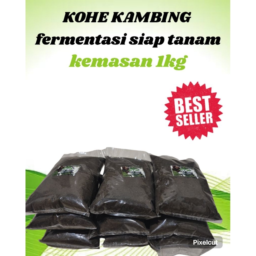 FERMENTASI KOHE KAMBING