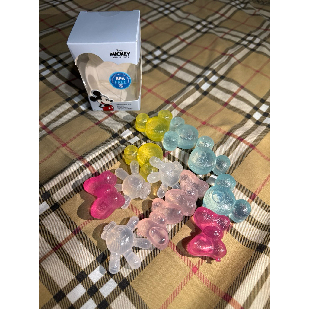 Reuseable ice block mickey