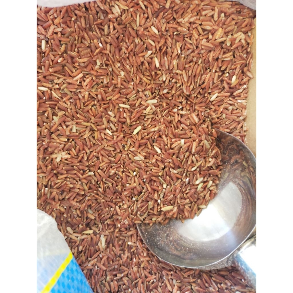 

Beras merah ecer 1kg