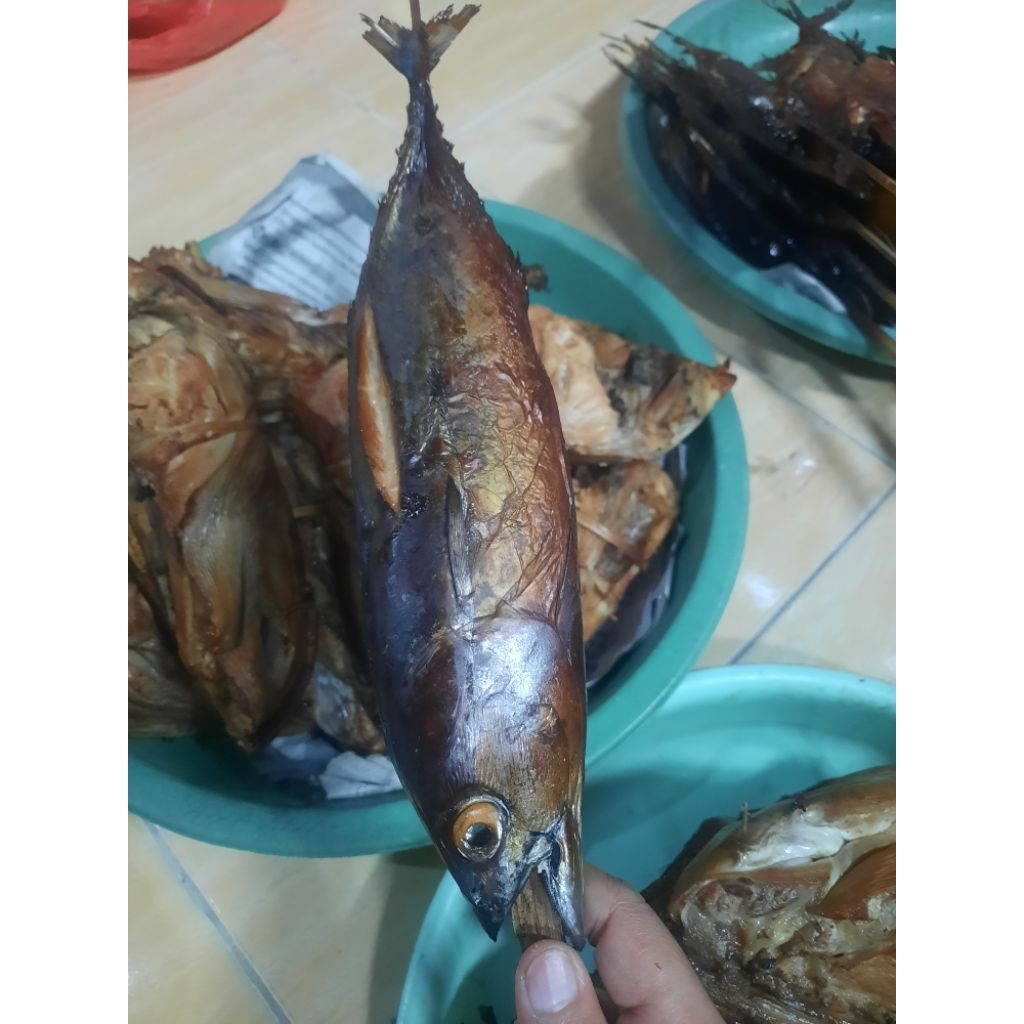 

ikan tongkoL