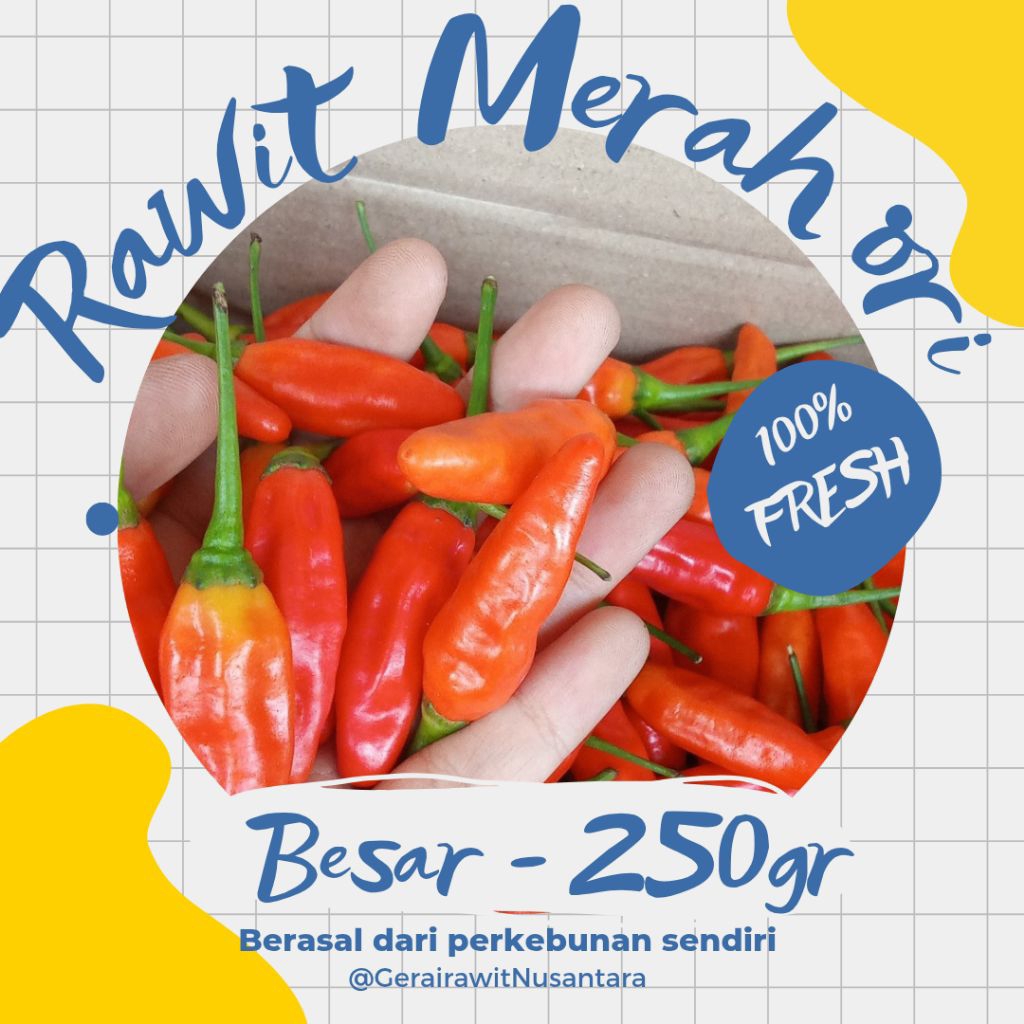 

Gerai Rawit Nusantara| Cabe Rawit Merah ORI - Besar 250gr/¼Kg |