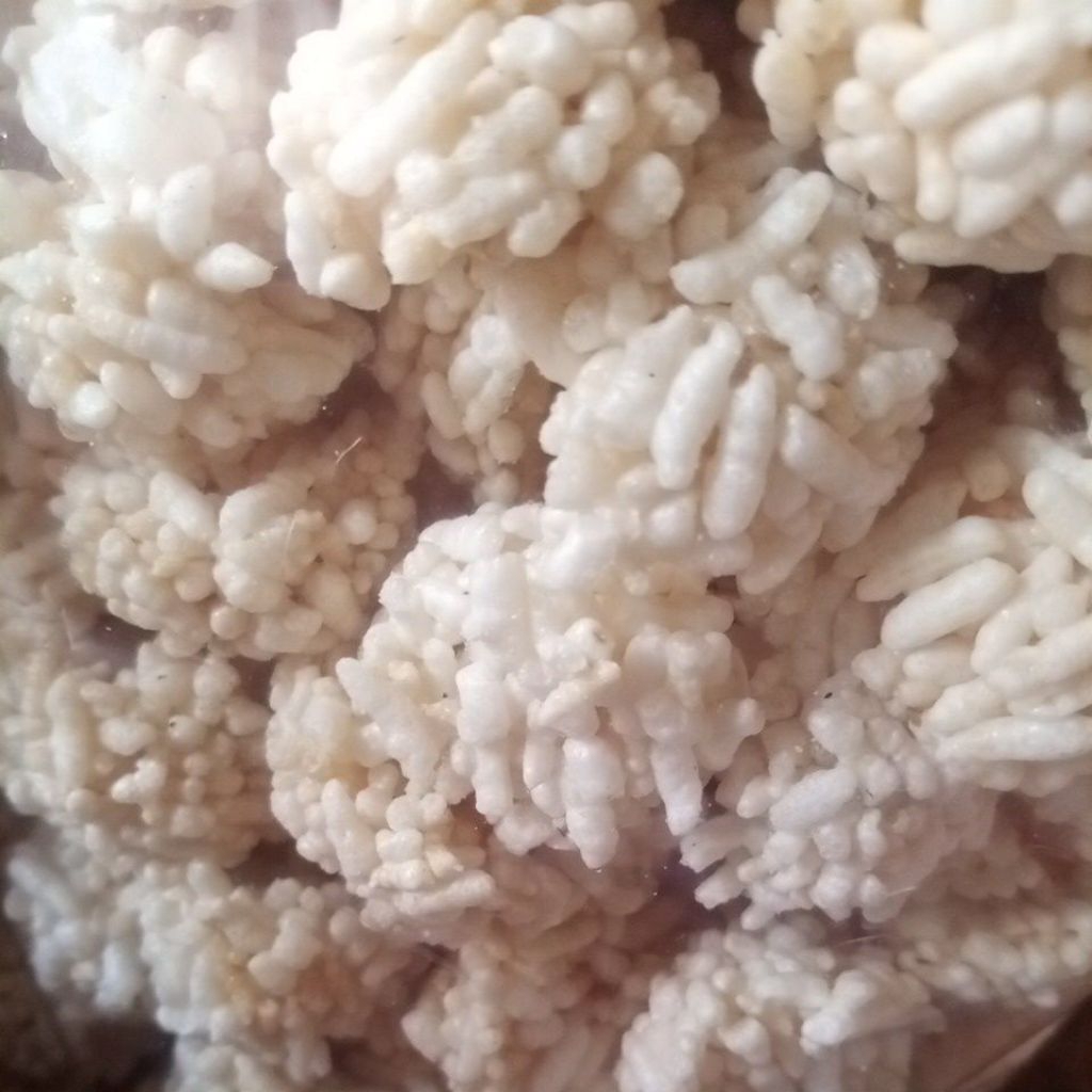 

Rengginan bulat brindi Gurih Asin khas Magelang 200 gram
