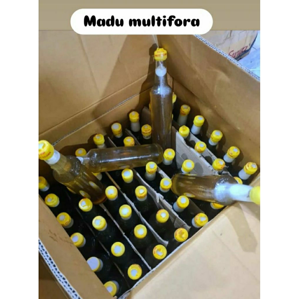 

Madu Asli l Madu multifora l Madu Randu l Sarang Madu