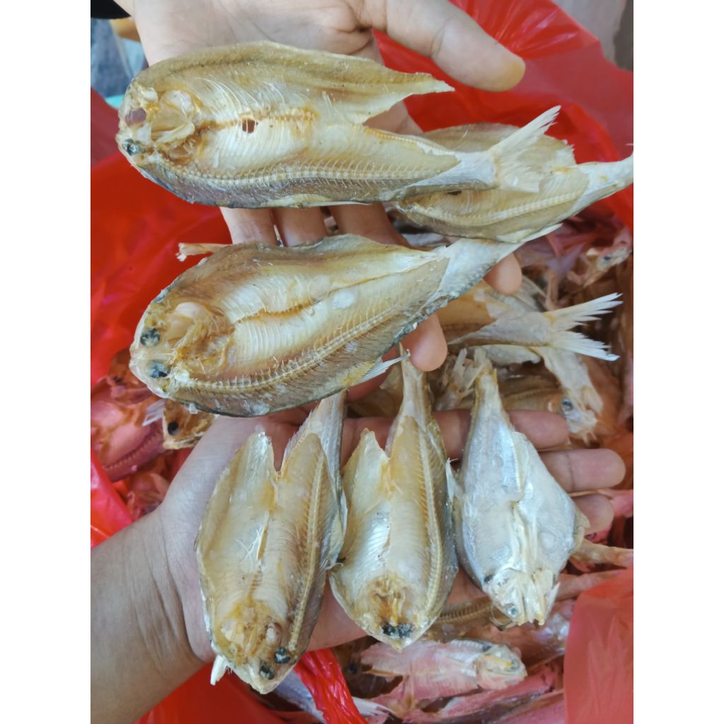

Ikan Bilis Kering Tuban