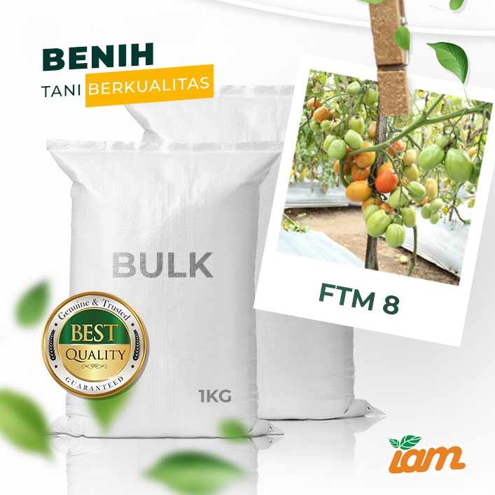

BULK 1kg – tomat l F1 (FTM 8)