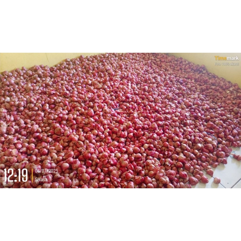 

Orderan BAWANG VIA SHOPEE