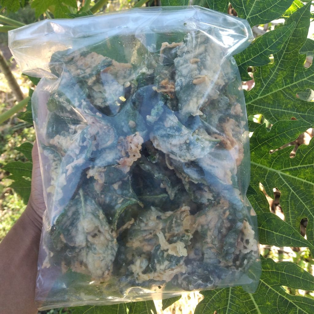 

KERIPIK BAYAM PREMIUM GURIH DAN SEHAT