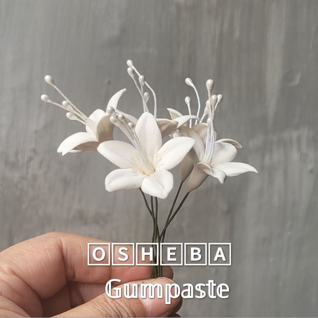 

[osheba] gumpaste bunga rangkai filler JM 63