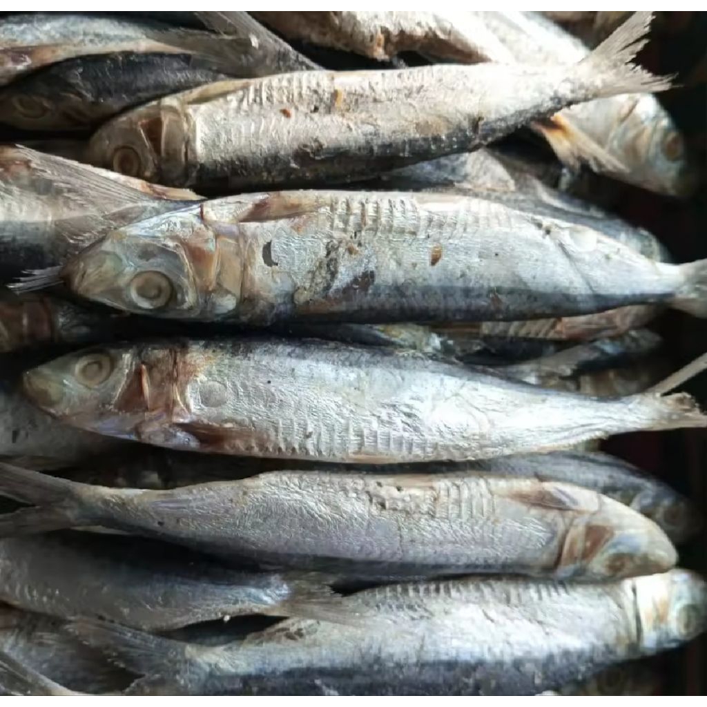

promo ikan asin japuh murah