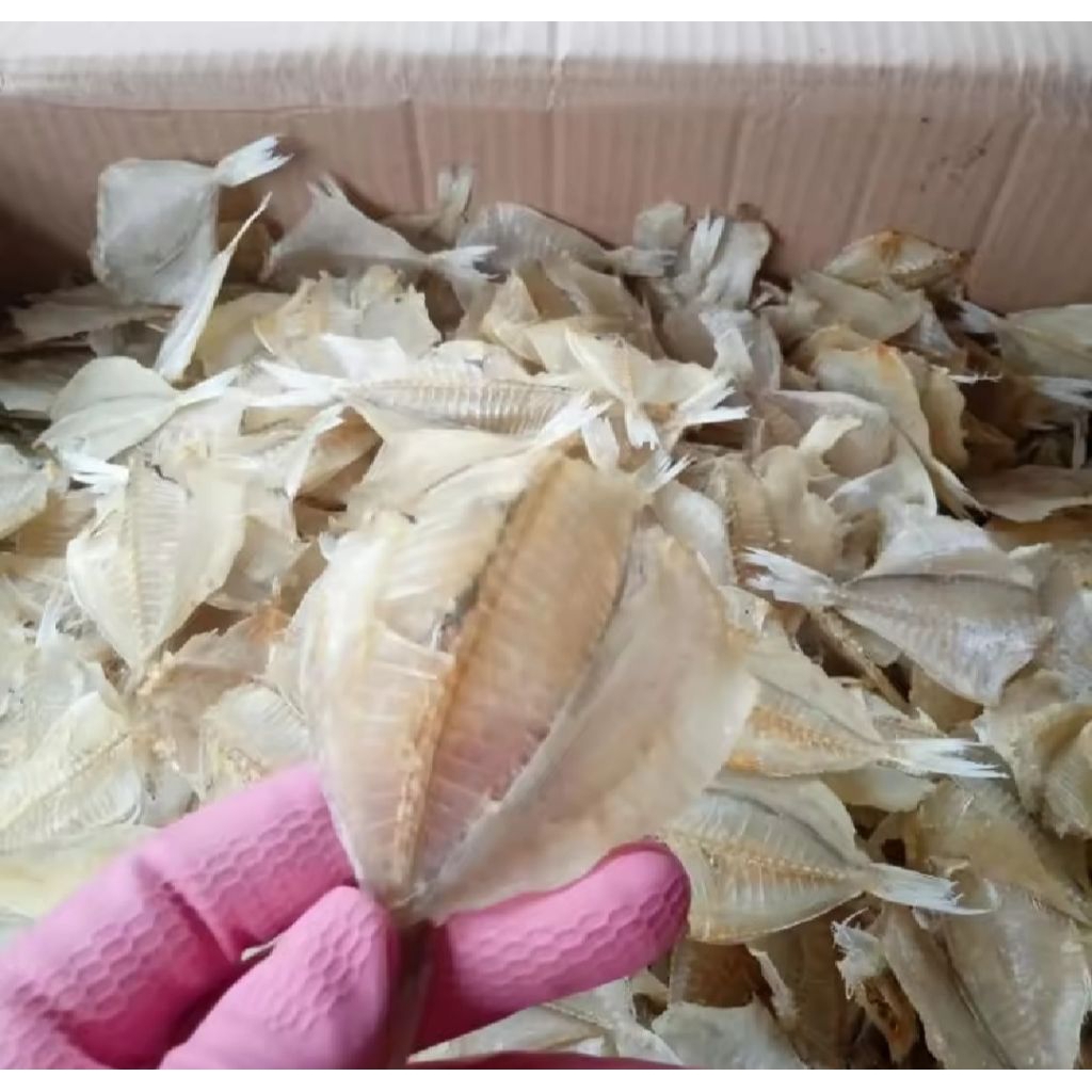 

promo ikan asin kapas tawar murah