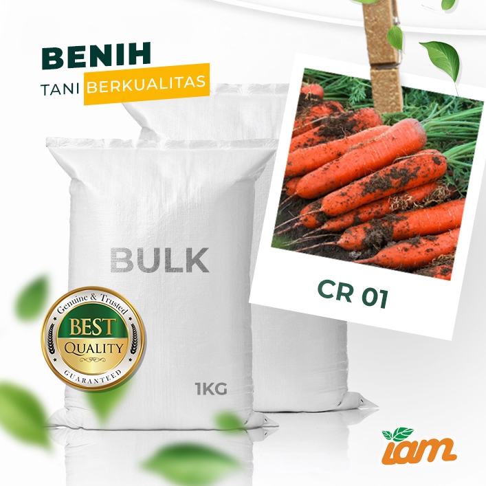 

BULK 1kg – wortel F1 (CR 01)