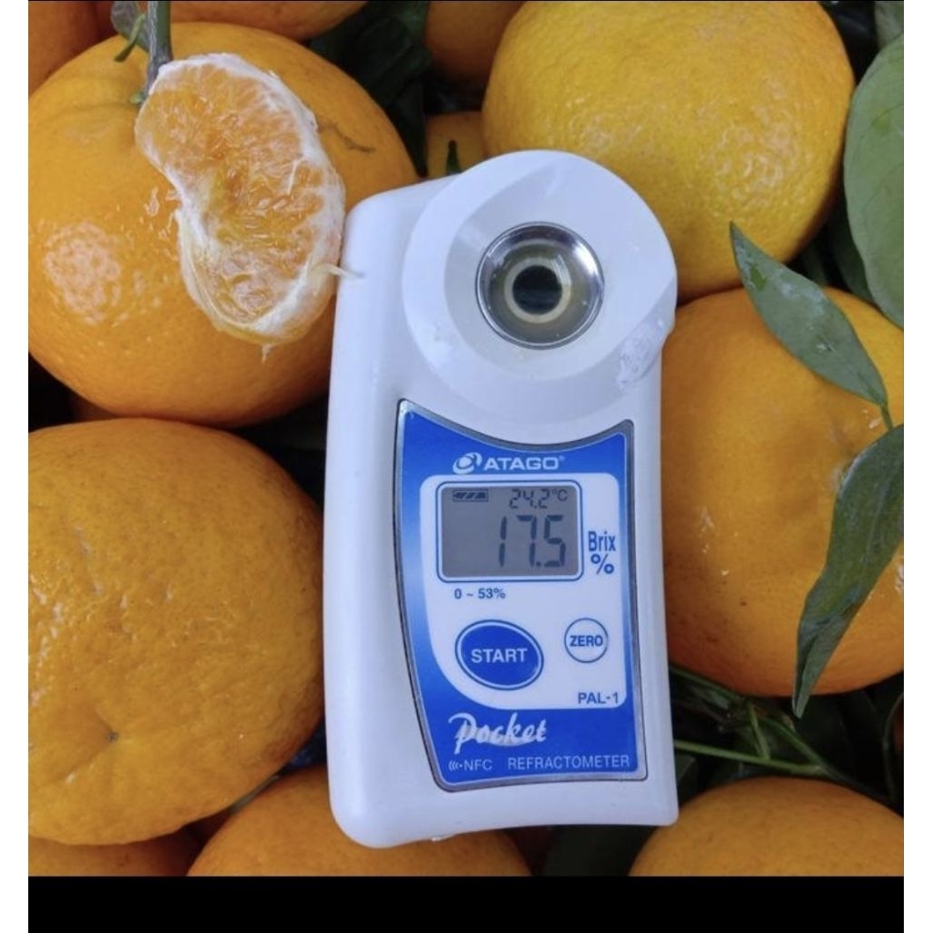 

jeruk wogan manis enak