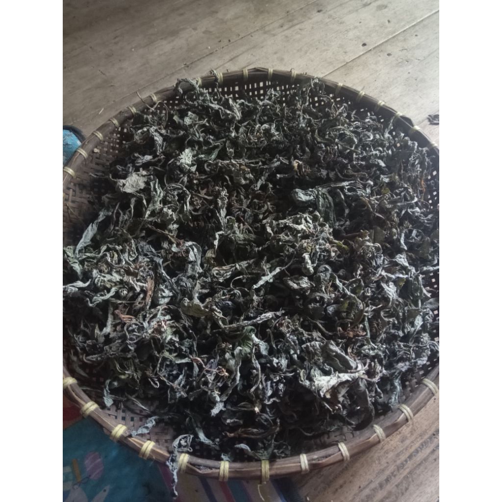 

TANAMAN CAMAWAK SUDAH KERING 250 GRAM