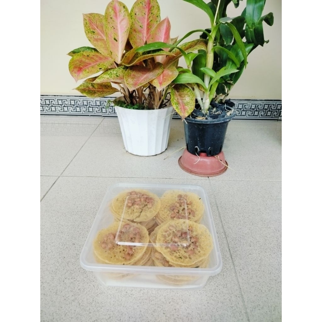 

peye kacang ketumbar