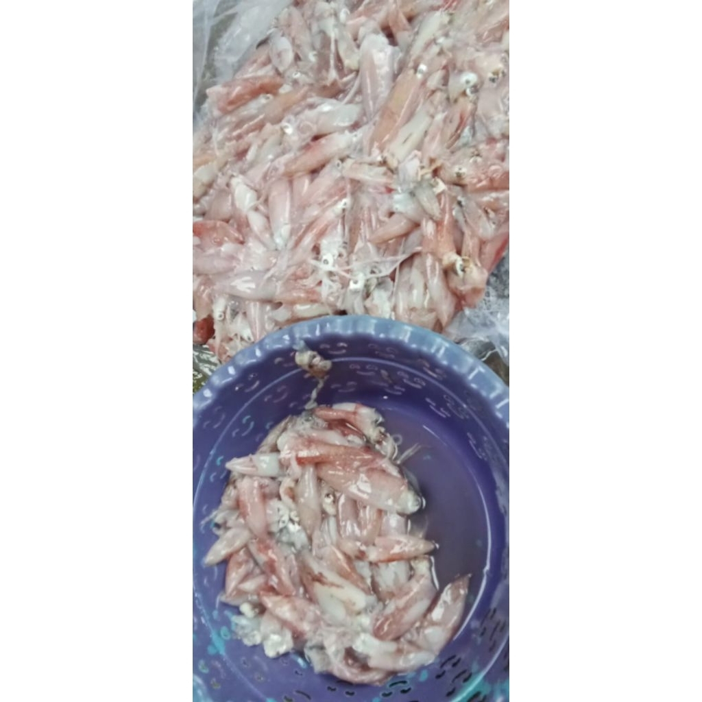 

CUMI SOTONG SUPER FRESH VACUM PACK