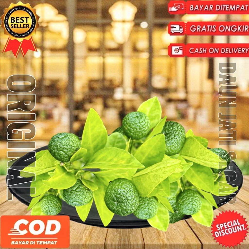 

Daun jeruk limau segar fresh dipetik dadakan 200gr