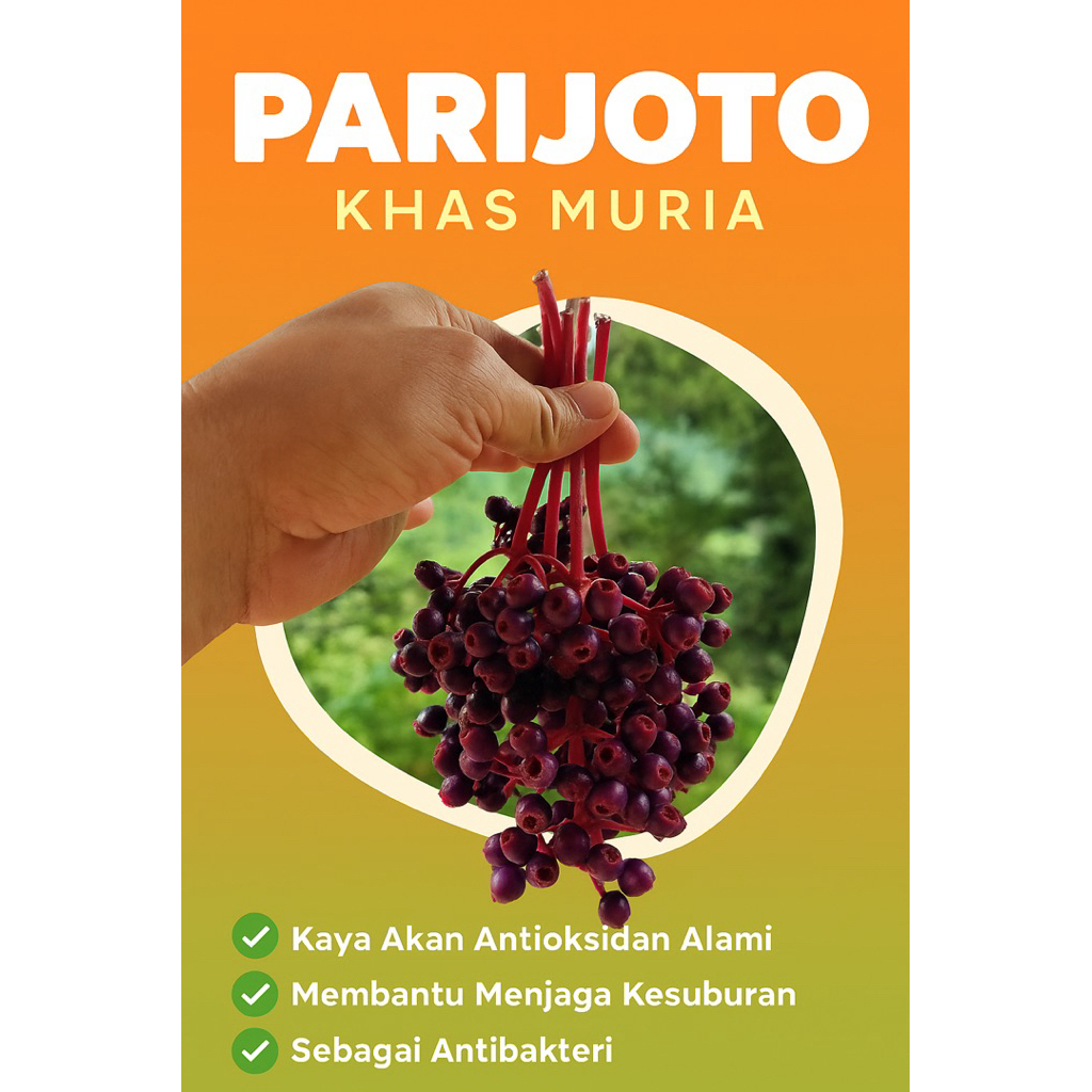 

parijoto asli gunung muria buat promil fres 100g-250g