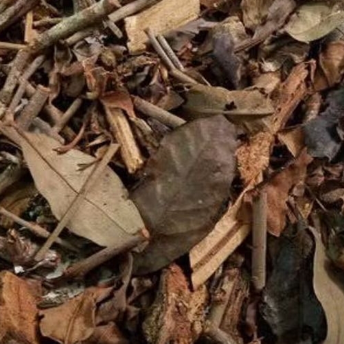 

Benalu Teh 1kg Teh Herbal Alami