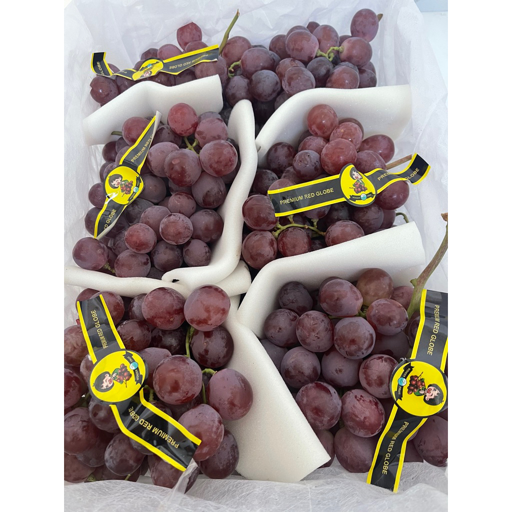 

Buah Anggur Globe China