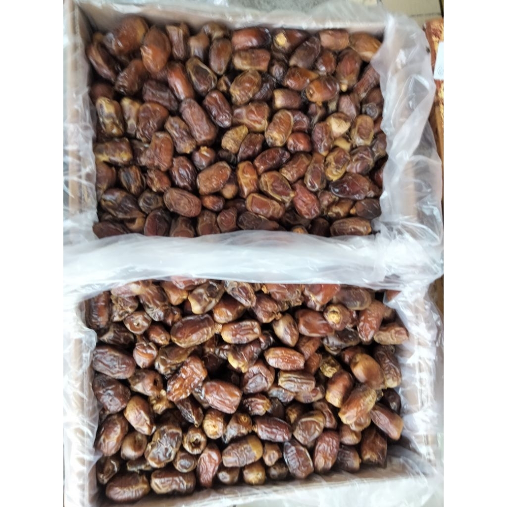

kurma Mesir barari 10kg