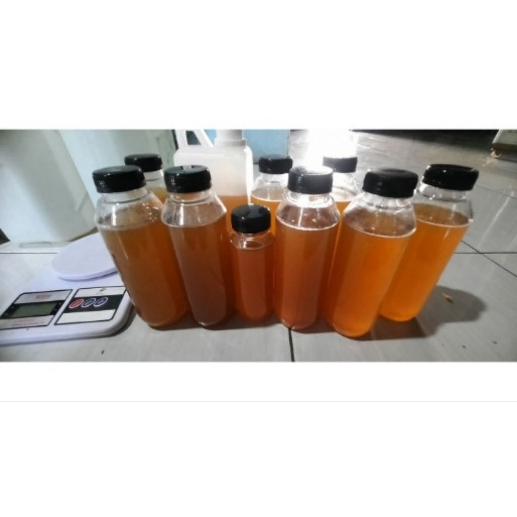 

madu hutan asli jenis Sialang
