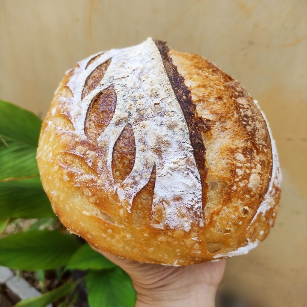 

(NO COD) Plain Sourdough Country Bread